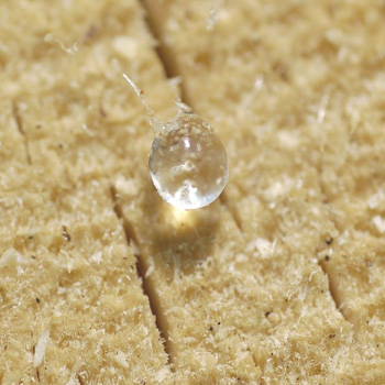环氧树脂